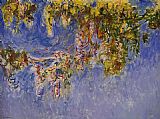 Wisteria 1